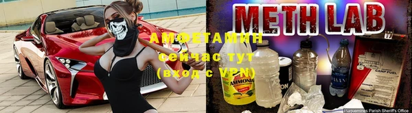 прущая мука Ельня