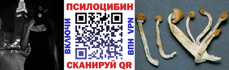 Псилоцибиновые грибы прущие грибы  Купить  Щёлкино 